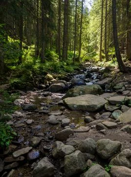 Small river flowing rapidly and vividly through its wild stony valley Stock Photos