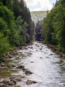 Small river flowing rapidly and vividly through its wild stony valley Stock Photos