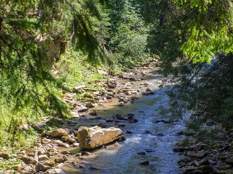 Small river flowing rapidly and vividly through its wild stony valley Stock Photos