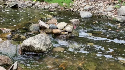 Small River Flowing Somewhere in a Toronto Park Stock Footage 266865282