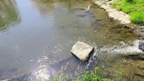 Small river flowing in springtime Stock Footage 272475010