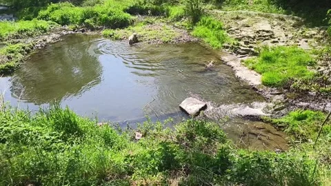 Small river flowing in springtime Stock Footage 272475014