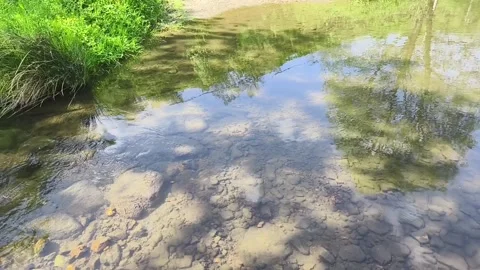 Small river flowing in springtime Stock Footage 272475032