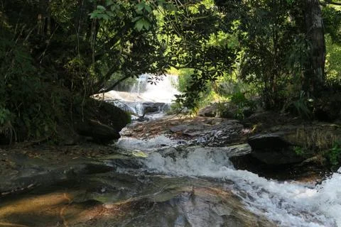 Small river flowing through a beautiful forest Stock Photos