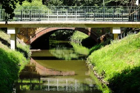A small river flowing through the city botanical park Foto stock