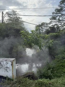 A small river flowing through a dense tropical environment with thick steam Stock Photos