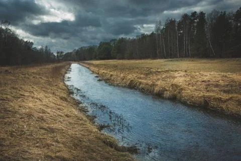 A small river flowing through dry meadows in the forest Stock Photos
