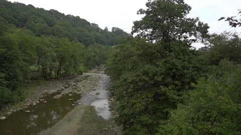 Small River Flowing through the forest Stock Footage 236610509
