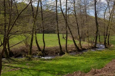 Small river flowing through a green meadow in spring Stock Photos
