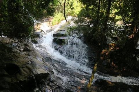 Small river flowing through the jungle Stock Photos
