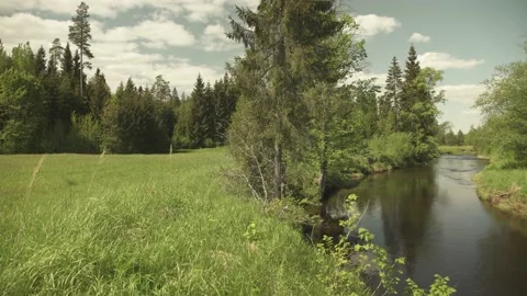 A small river flowing through meadow in sunny summer day Stock Footage 159981270