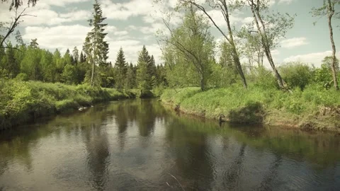 A small river flowing through meadow in sunny summer day Stock Footage 159981280
