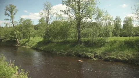 A small river flowing through meadow in sunny summer day Stock Footage 159981333