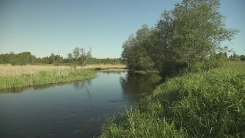 Small river flowing through meadows in sunny summer morning Stock Footage 159980910
