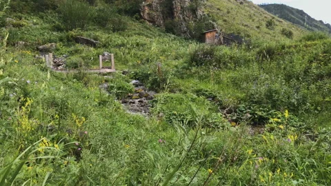 Small river flowing through mountain vegetation Stock Footage 92852785