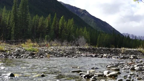 Small river flowing through Mountains in summer Vídeos de archivo 148404533