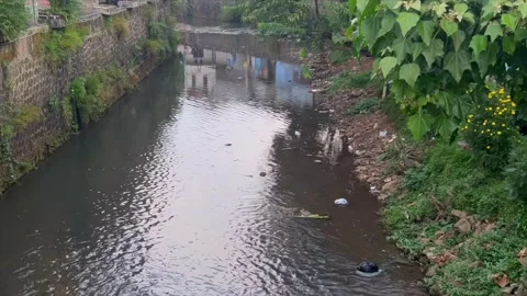 Small river flowing through a residential area Vidéo 337569657