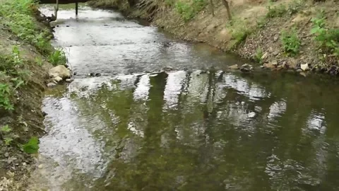 Small river flowing through the river Stock Footage 130198391