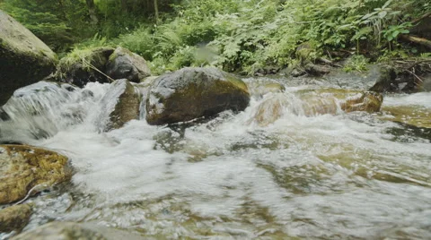 A small river flowing through rocks on a green riverbed Stock Footage 63224536