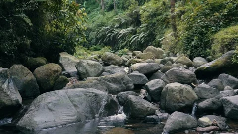 Small River Flowing Through Rocks in Lush Tropical Forest 库存影片 331206746