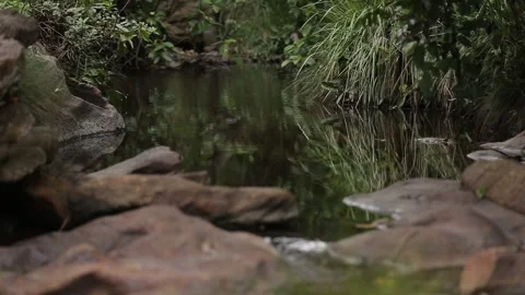 Small river flowing through a rocky landscape, Natividade, Tocantins Stock Footage 317790203