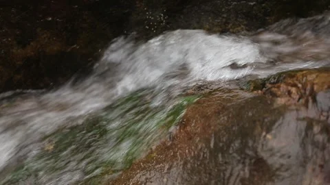 Small river flowing through a rocky landscape, Natividade, Tocantins Stock Footage 317790215