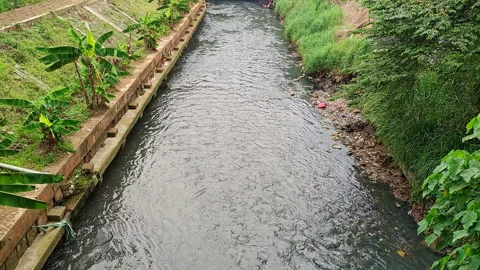 Small River Flowing Through Tropical Drainage Canal with Green Vegetation Stock Footage 319375562