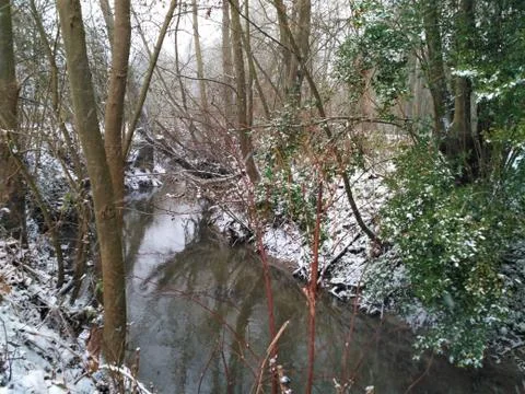 Small river flowing through winter landscape 库存照片
