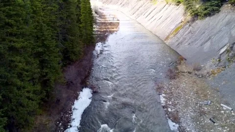 Small river flowing with trees beside it Stock Footage 277266327