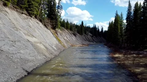 Small river flowing with trees beside it Stock Footage 277266502