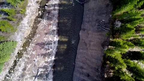 Small river flowing with trees beside it Stock Footage 277266529