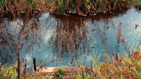 Small river flowing in the village Stock Footage 87198285