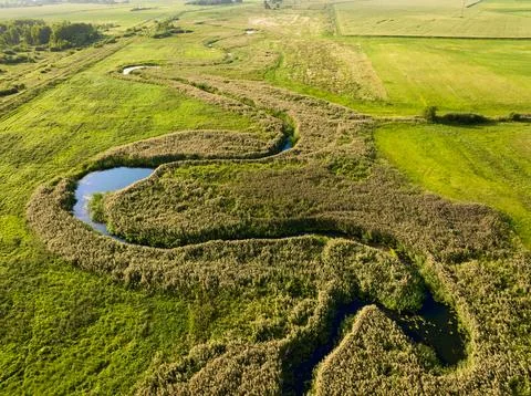 Small river flows among fields illuminated by sunset light Stock Photos