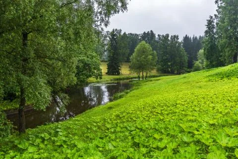 A small river flows among meadows and groves Stock Photos