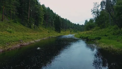 A small river flows among the rocks in the forest Stock Footage 303841947