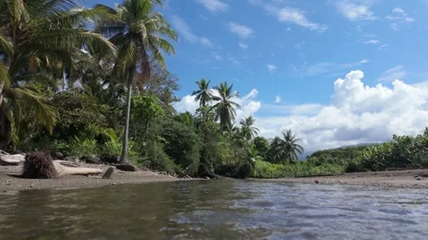 A small river flows on the beach in Costa Rica Stock Footage 302692287