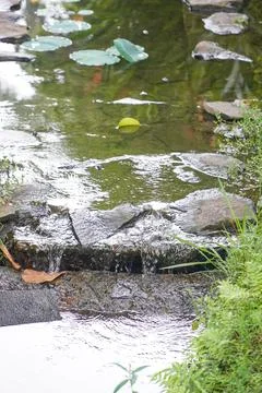 A small river flows between the rocks with lotus leaves floating in the backg Stock Photos