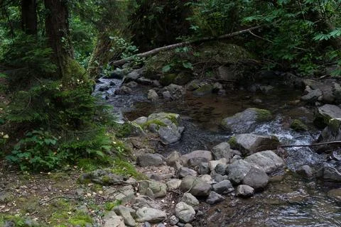 A small river flows between rocks in a forest, Georgia Stock Photos