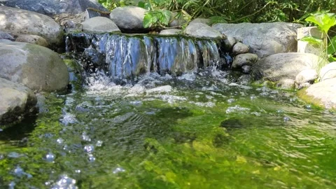 A small river flows fast Stock Footage 219377268