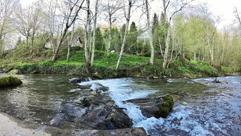 Small river flows in forest, Romania Stock Footage 240287890