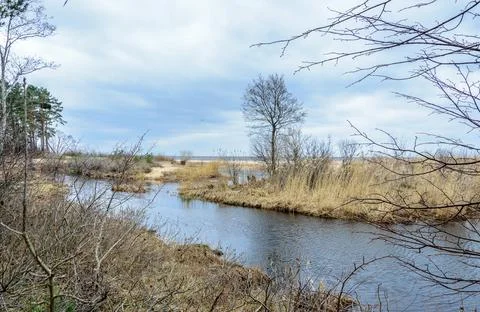 A small river flows into the Gulf of Riga in the Baltic Sea in winter. Stock Photos
