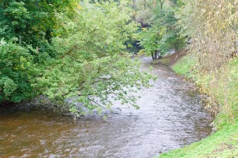 Small river flows Stock Photos