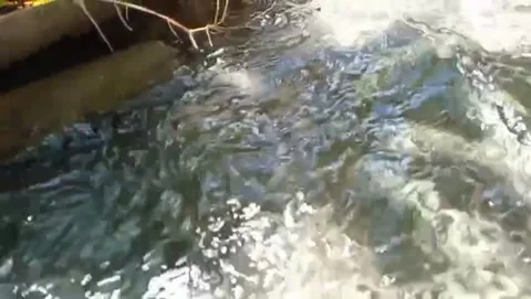 A small river flows on the rocks fine. Stockbeeldmateriaal 331243143