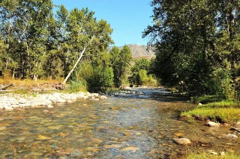 A small river flows in a rocky bed through the forest on a warm autumn day. Stock Photos