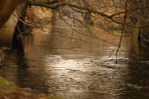 A small river that flows through the city in early spring Foto stock