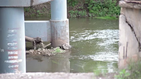 Small river flows through the forest Stock Footage 65286916