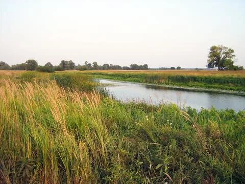 A small river flows through green meadows. Forest trees in the background Stock Photos