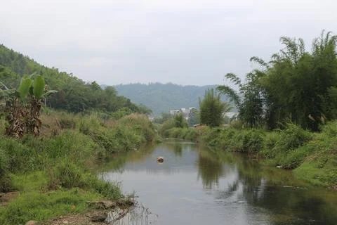 A small river flows through the middle of rural China, with green vegetatio.. Stock Photos