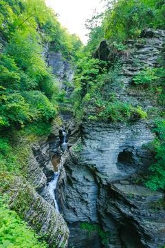 A small river flows through a rocky gorge studded with bluish-gray rocks an.. Fotos Stock