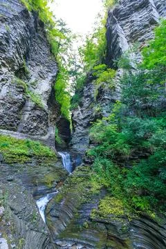 A small river flows through a rocky gorge studded with bluish-gray rocks an.. 스톡 사진